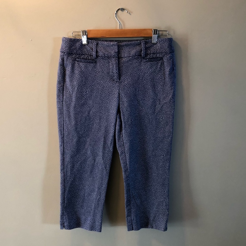 2/$25 4P Ann Taylor LOFT pants. Like new